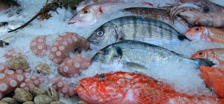 ‘Portie vis per week verlaagt risico op dementie’