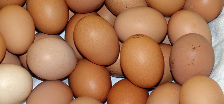Eieren maken je vrijgeviger.