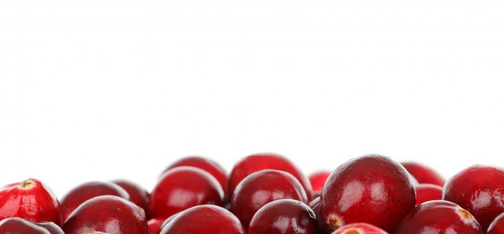 Cranberry en probiotica voor een schone blaas