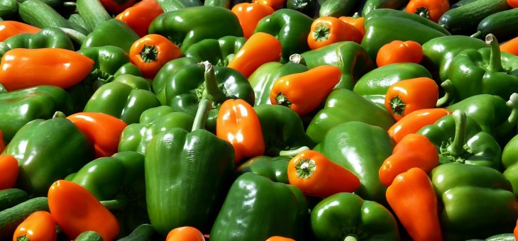 Glansrol paprika nieuwe Schijf van Vijf