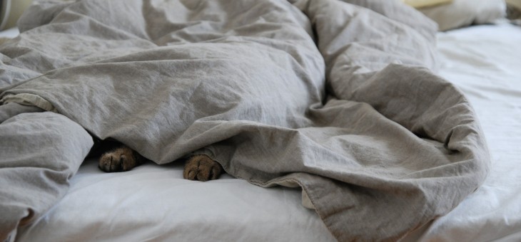 Waarom slapen we slecht in vreemd bed?